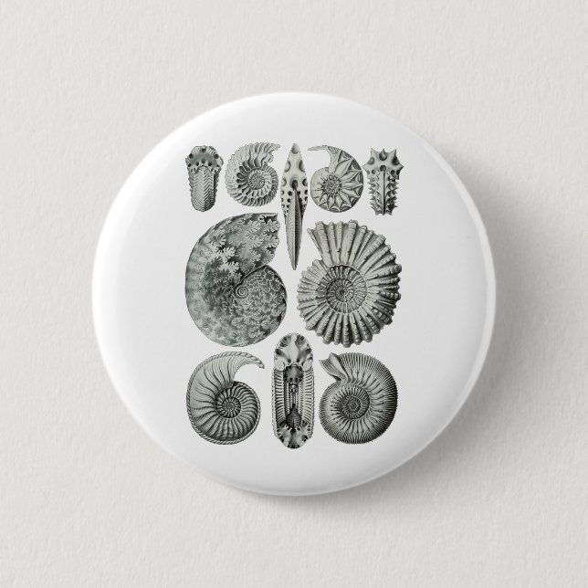 Ammonites 6 Cm Round Badge (Front)