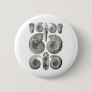 Ammonites 6 Cm Round Badge