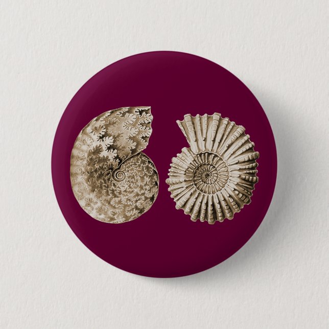 Ammonites 6 Cm Round Badge (Front)