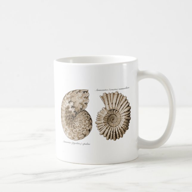 Ammonites Coffee Mug (Right)