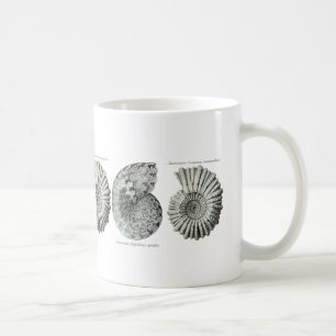 Ammonites Coffee Mug