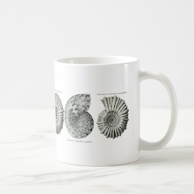 Ammonites Coffee Mug (Right)