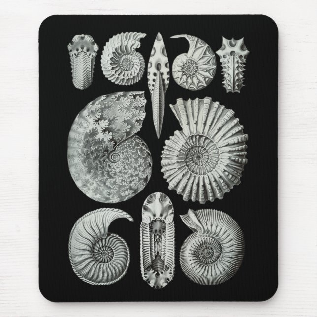 Ammonites Mouse Pad (Front)