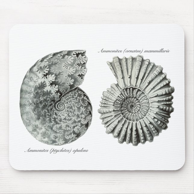 Ammonites Mouse Pad (Front)