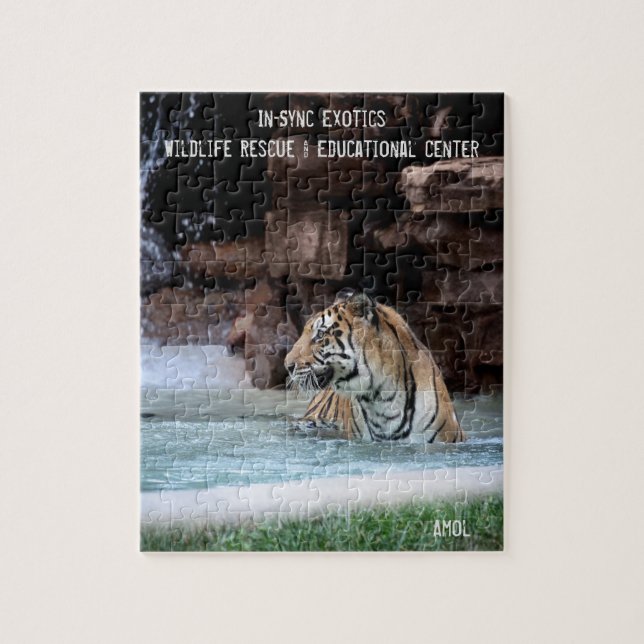 Amol - jigsaw puzzle (Vertical)
