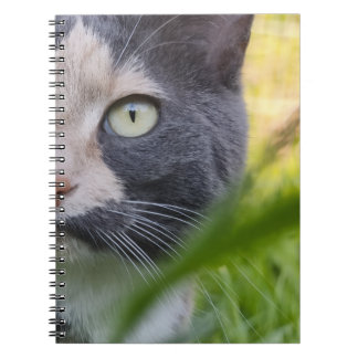 Among Stalks – Kobayashi in Green Notebook