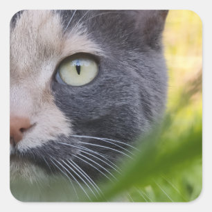 Among Stalks – Kobayashi in Green Square Sticker
