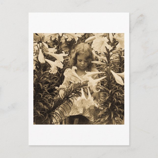 Among the Lillies - Vintage Stereoview Postcard (Front)