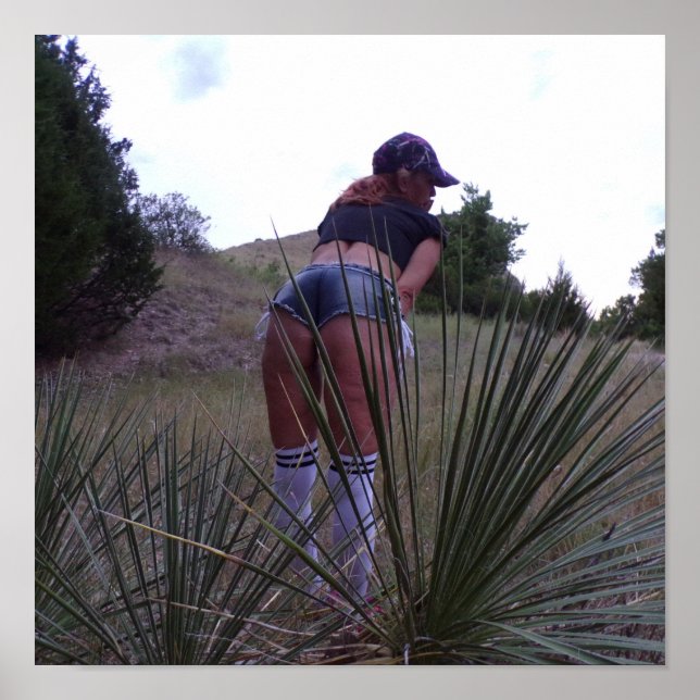 Among The Yucca Plants Poster (Front)