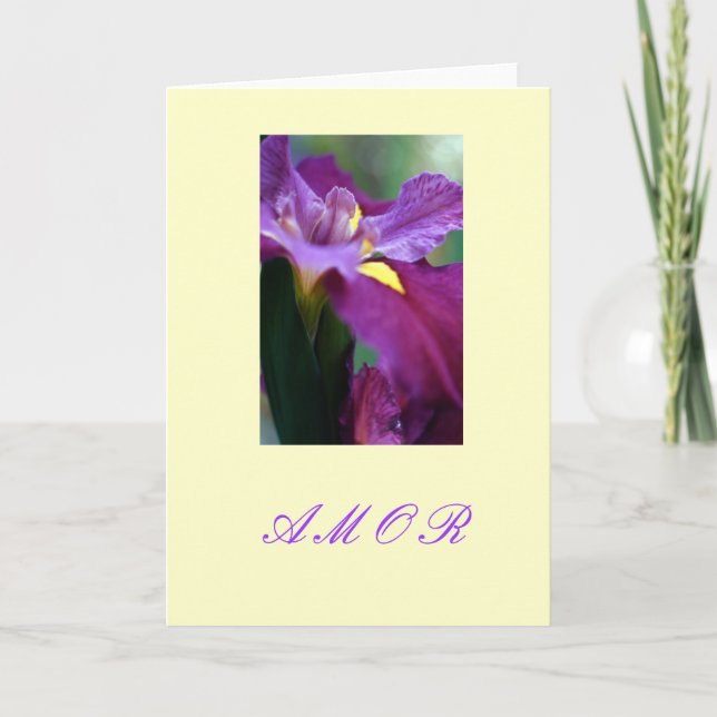 "Amor" Holiday Card (Front)