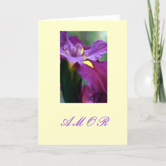"Amor" Holiday Card