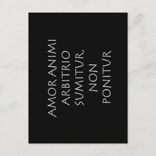 Amor Postcard