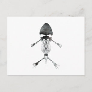 Amphibambus Skeleton Postcard