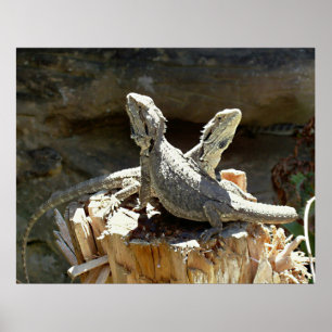 Amphion and Zethus Poster