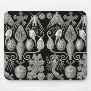 "Amphoridea; or, Star-Animals" Mouse Pad