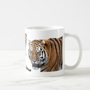 Amrutra mugs
