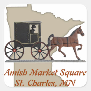 AMS SQUARE STICKER