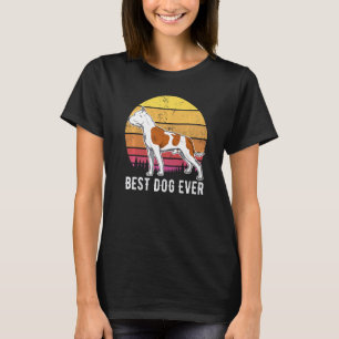 Amstaff American Staffordshire Terrier Sunset 7 T-Shirt