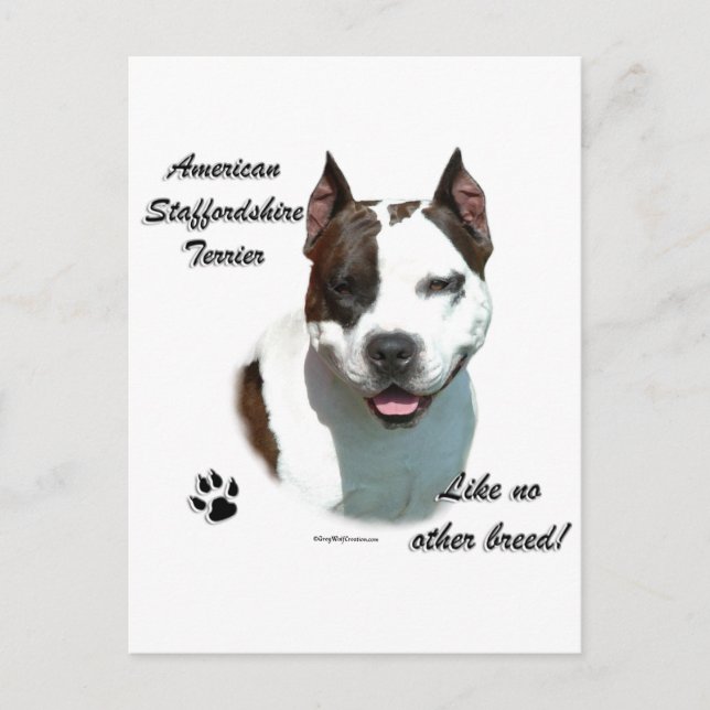 AmStaff Like No Other Breed Postcard (Front)