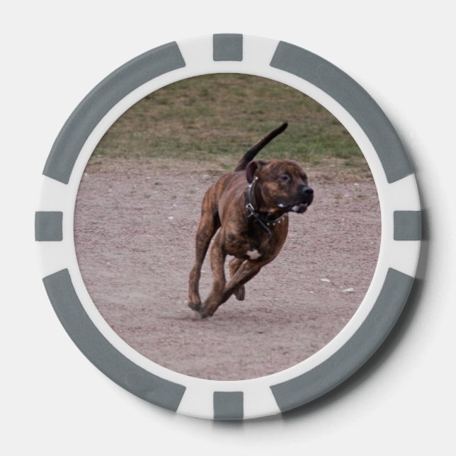 Amstaff running poker chips (Front)