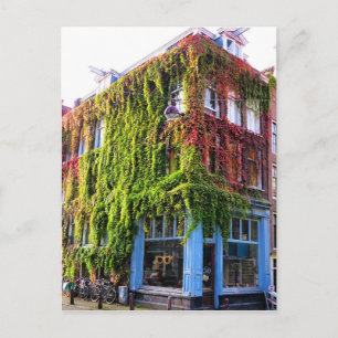 Amsterdam Autumn Vines Architecture Postcard