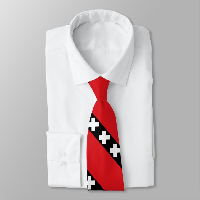 Amsterdam Flag Tie (Tied)