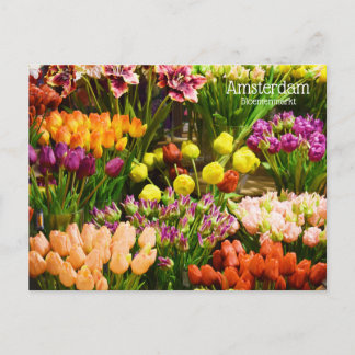 Amsterdam Flower Market Postcard
