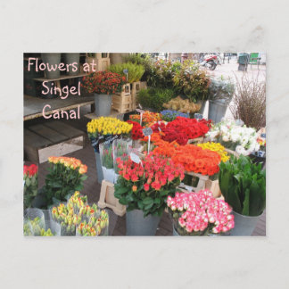 Amsterdam flowers postcard