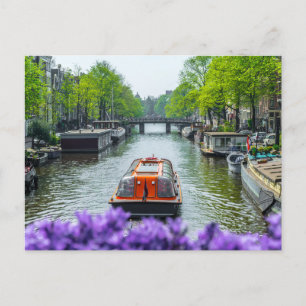 Amsterdam Postcard