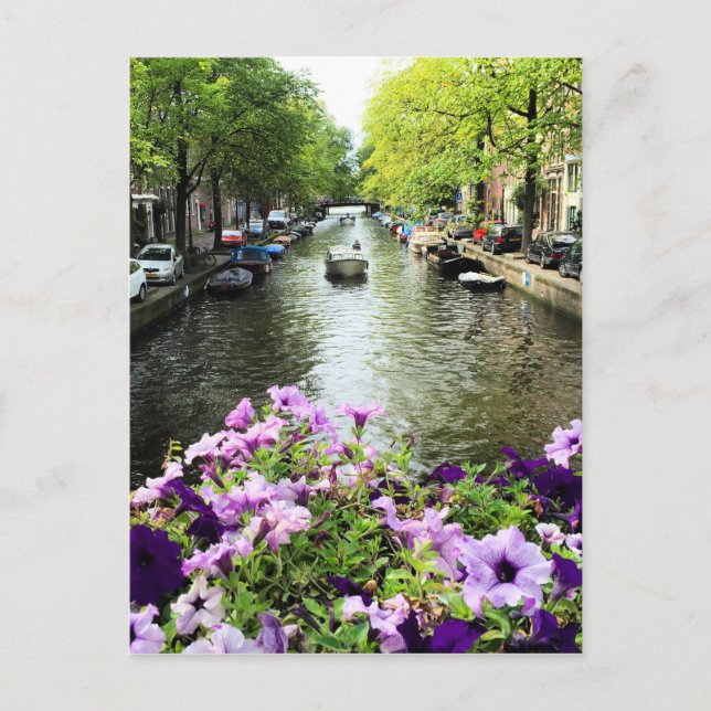 Amsterdam Summer Canal Postcard (Front)