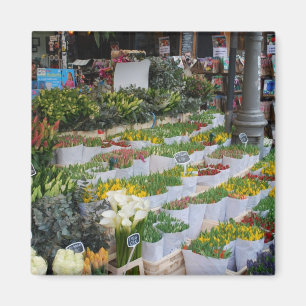 Amsterdam Tulip Market Magnet