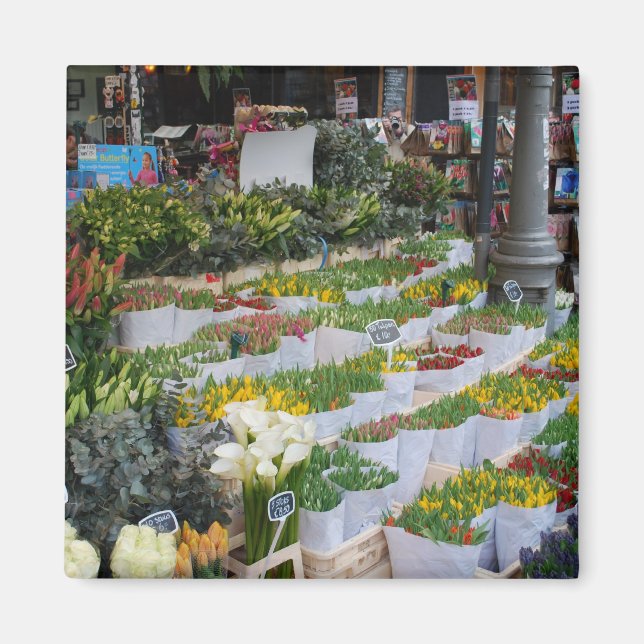 Amsterdam Tulip Market Magnet (Front)