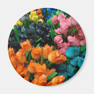 Amsterdam Tulips Magnet