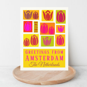 Amsterdam Tulips Netherlands Holland Postcard