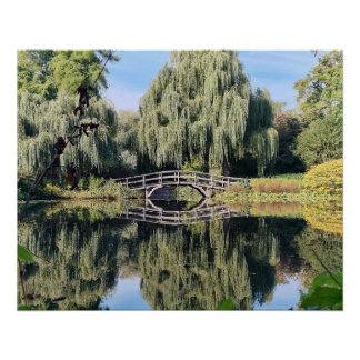 Amsterdam Willow Pond Poster