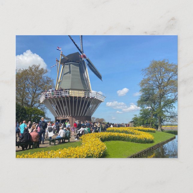 Amsterdam Windmill Post Card (Front)