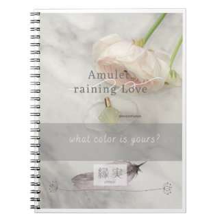 Amulet.Series Notebook