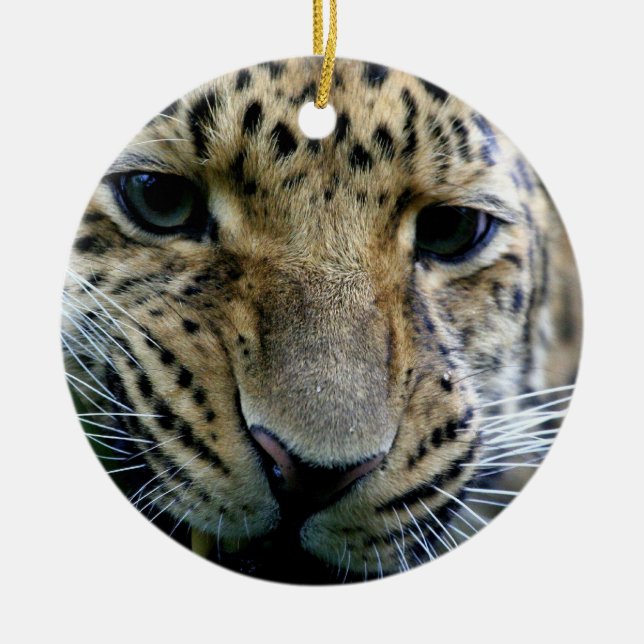 Amur Leopard Ornaments (Front)