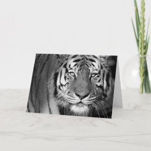Amur Tiger #1-Greeting card