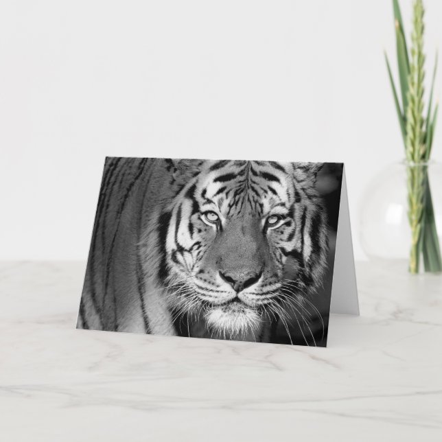 Amur Tiger #1-Greeting card (Front)