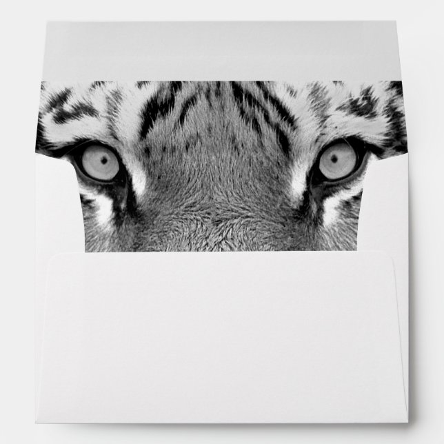 Amur Tiger #4 Envelopes (Back (Bottom))