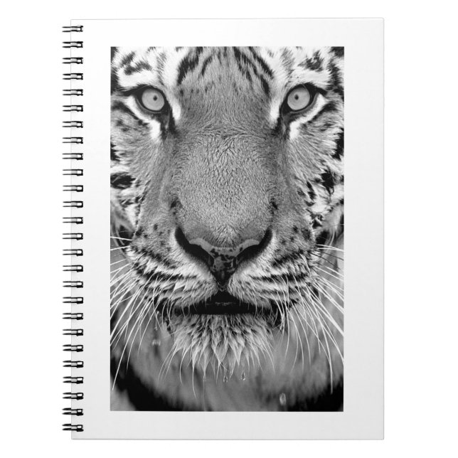 Amur Tiger#4-Notebook Notebook (Front)