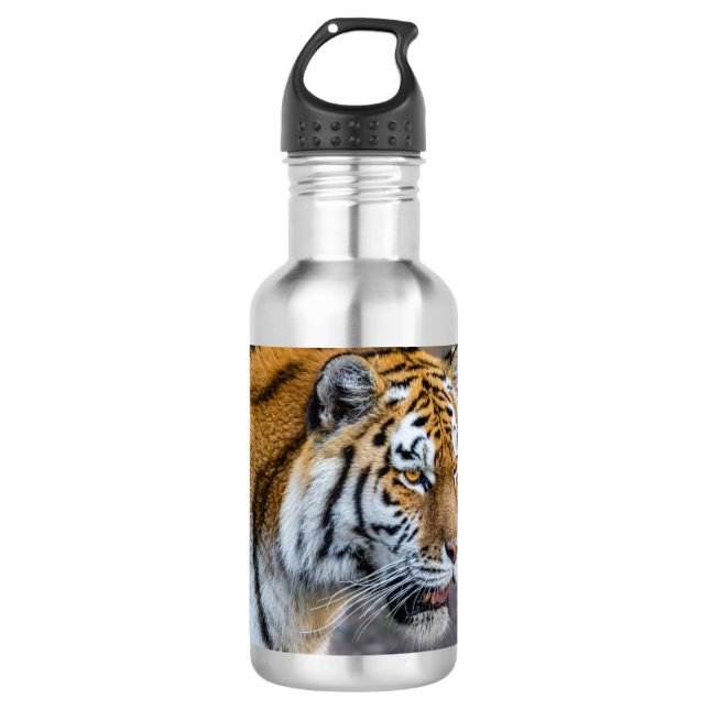 Amur tiger 710 ml water bottle (Front)