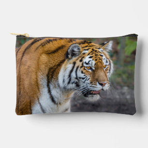 Amur tiger accessory pouch