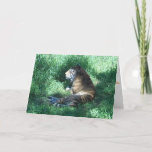 "Amur Tiger" Birthday Card