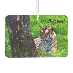 Amur Tiger Car air freshener
