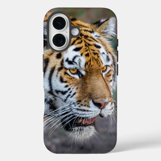 Amur tiger Case-Mate iPhone case (Back)