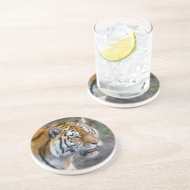 Amur tiger coaster (Side)