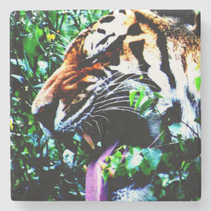 Amur Tiger coastercna Stone Coaster