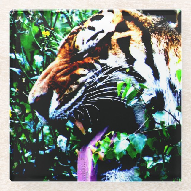 Amur Tiger coastercnm Glass Coaster (Front)